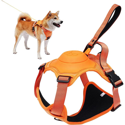 PetStorea™ Dog Harness and Retractable Leash Set All-in-One