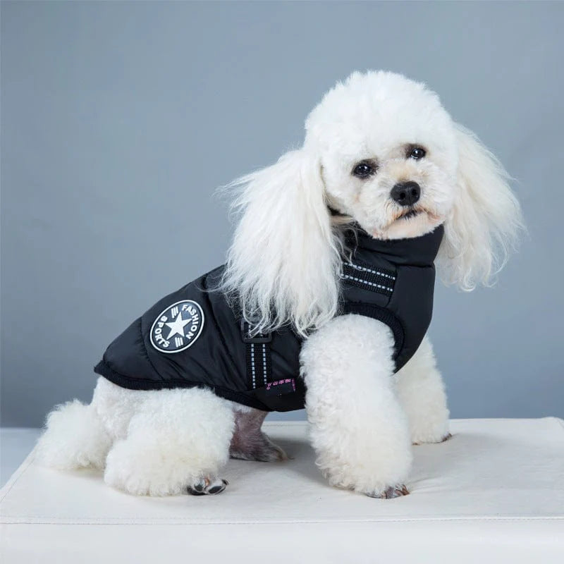 Waterproof Winter Dog Jacket with Built-in Harness