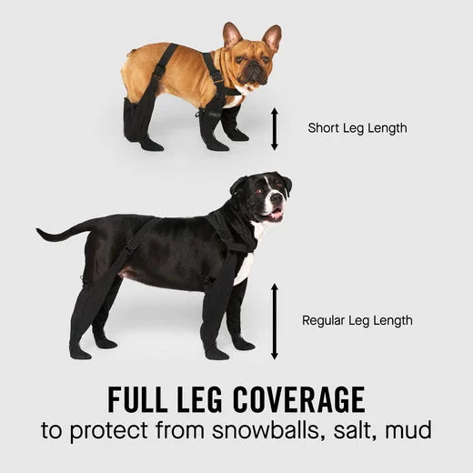 Adjustable and Connected Dog Boots - Full Paw Protection