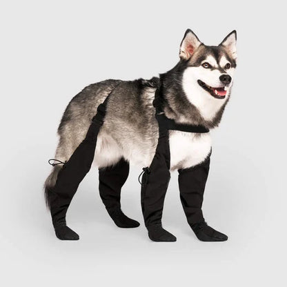 Adjustable and Connected Dog Boots - Full Paw Protection