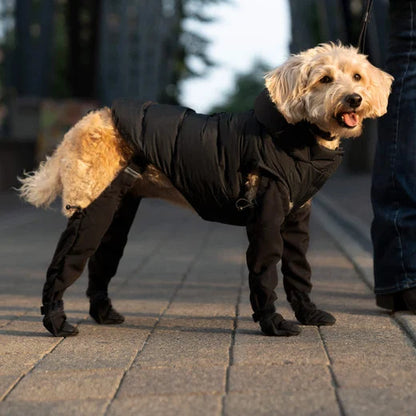 Adjustable and Connected Dog Boots - Full Paw Protection